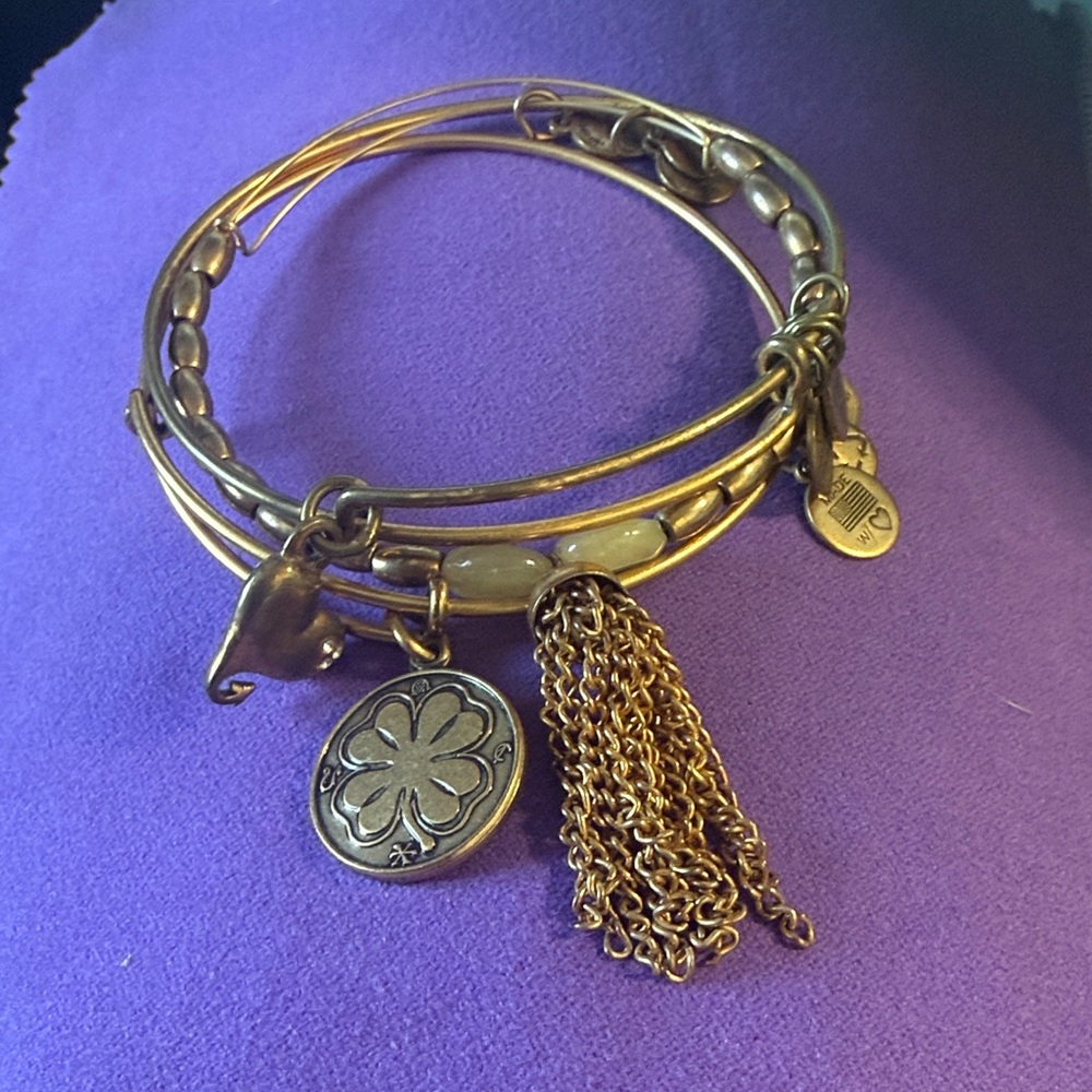 Alex & Ani Gold-Tone Charm Stackable Bangle Bracelet with Tassel